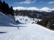 Schafalm run