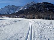 Trail in Bad Moos