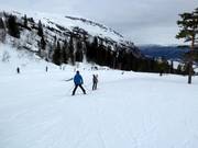 Practice slope Badnakrokjen in the middle of the ski area