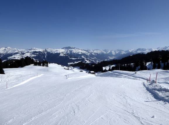 Danusapiste slope from the mountain station