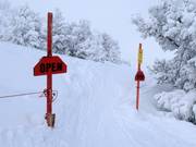 Open steep terrain