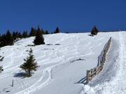 Powder tracks