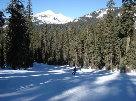 Forest glade slopes in the Sierra at Tahoe ski area