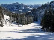 Valley run Tauplitz