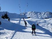 Arvenis - J-bar