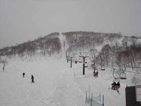 Slope offering Honshu – Slope offering Mitsumata/Kagura/Tashiro (Mt. Naeba)