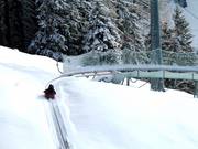 Alpine Coaster at the Paradaschierlift