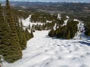 Mogul slope Grits