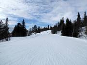Easy slope Hangurs