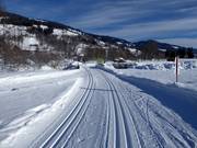 Trail in Brixental