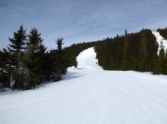 Difficult slope Skogshenget
