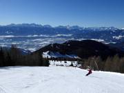 Black Panorama Run
