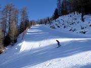 Black valley run