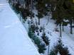 Poland: environmental friendliness of the ski resorts – Environmental friendliness Zieleniec