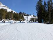 Easy slope Franzin