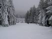Slope offering Northern Germany – Slope offering Bocksberg – Hahnenklee