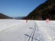 Cross-country trail in Ultental