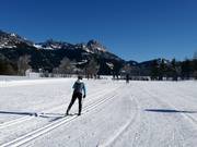 Cross-country trails in Tannheim