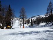 Easy slope Brunarica No. 1