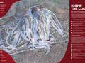 Trail map Big Powderhorn Mountain