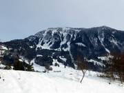 View of Grünten