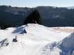 Snow parks Central Uplands of Germany (Deutsche Mittelgebirge) – Snow park Postwiesen Skidorf – Neuastenberg