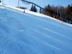 Ski resorts for advanced skiers and freeriding Western Germany – Advanced skiers, freeriders Winterberg (Skiliftkarussell)