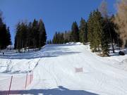 Larici slope No. 29