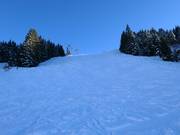 Black mogul slope