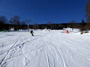 Labská slope
