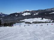 Roßalm Run