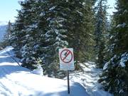 Signs for the protection of the forest