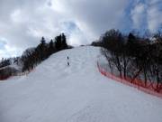 Mogul slope Ladies Downhill