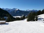Valley run Oberstdorf
