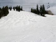 Mogul slope at Aspen Mountain