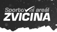 Zvičina