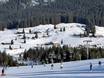 Germany: accommodation offering at the ski resorts – Accommodation offering Steinplatte Winklmoosalm – Waidring/Reit im Winkl