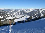 Black slope Lärchenhang