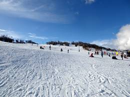 Perisher