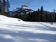 Easy slope Rehkogel