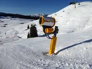 Snow cannon at Schwarzeck