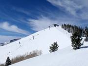 Steep Empire Bowl