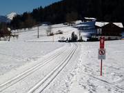 Trail in Oberau (Wildschönau)