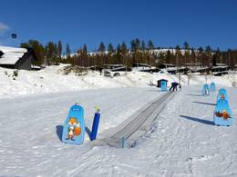 Rävens rullband