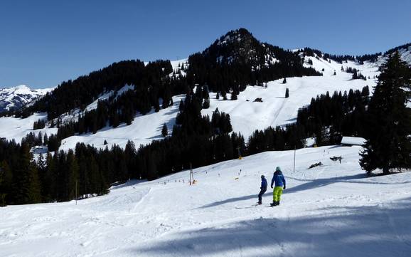 Biggest height difference in the Simmental – ski resort Rinderberg/Saanerslochgrat/Horneggli – Zweisimmen/Saanenmöser/Schönried/St. Stephan