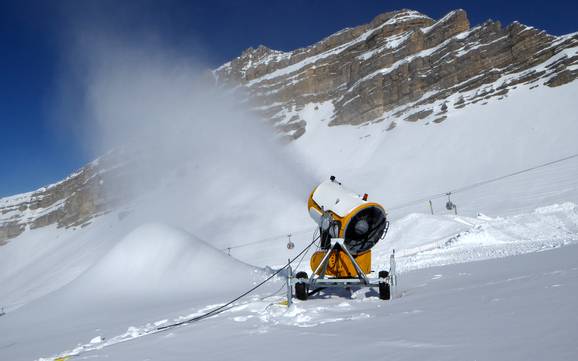 Snow reliability Madonna di Campiglio/Pinzolo/Val Rendena – Snow reliability Madonna di Campiglio/Pinzolo/Folgàrida/Marilleva