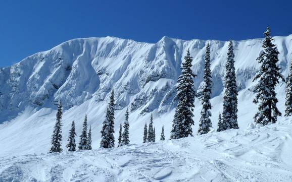 Skiing in the Lizard Range