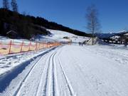 Klösterle-Mittelpunkt cross-country trail