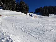 Practice slope in Silbis Winterwelt