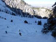 The black World Cup downhill run